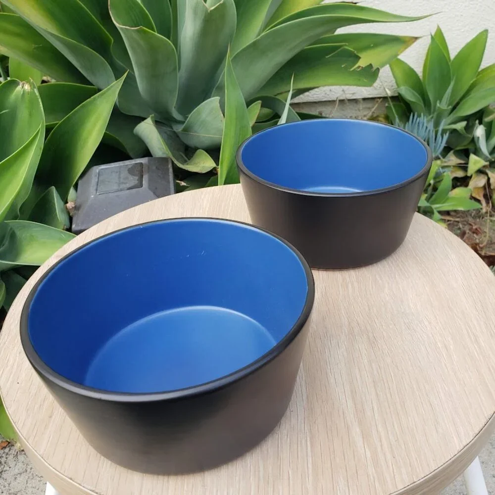 NEW Stone Lain 2 Bowls Stoneware Dinnerware Set Blue and Black Dishwasher and Mi